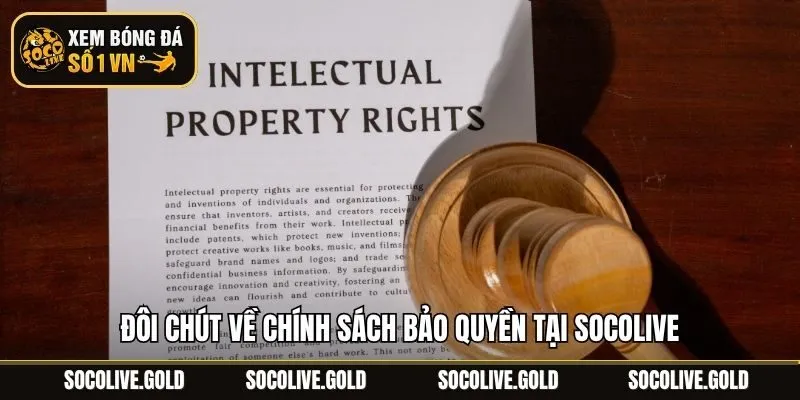 Đôi chút về chính sách bảo quyền tại Socolive