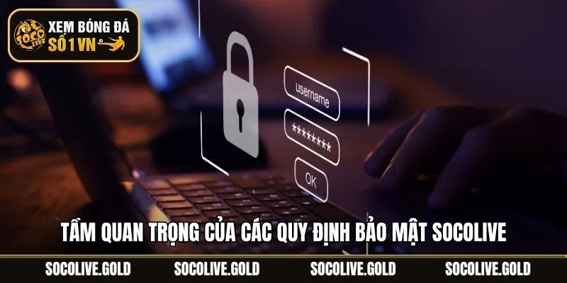 Tầm quan trọng của các quy định bảo mật Socolive