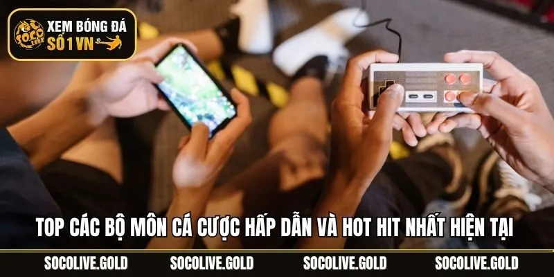 Top các bộ môn cá cược hấp dẫn và hot hit nhất hiện tại