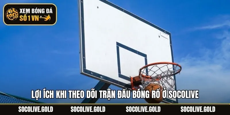 Lợi ích khi theo dõi trận đấu bóng rổ ở Socolive