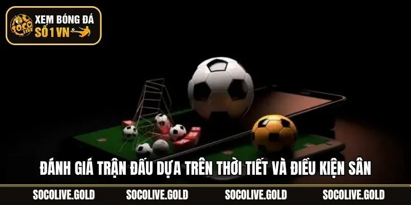 Đánh giá trận đấu dựa trên thời tiết và điều kiện sân