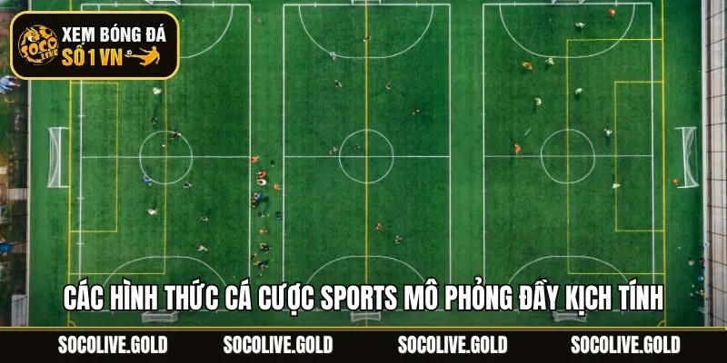 Các hình thức cá cược sports mô phỏng đầy kịch tính